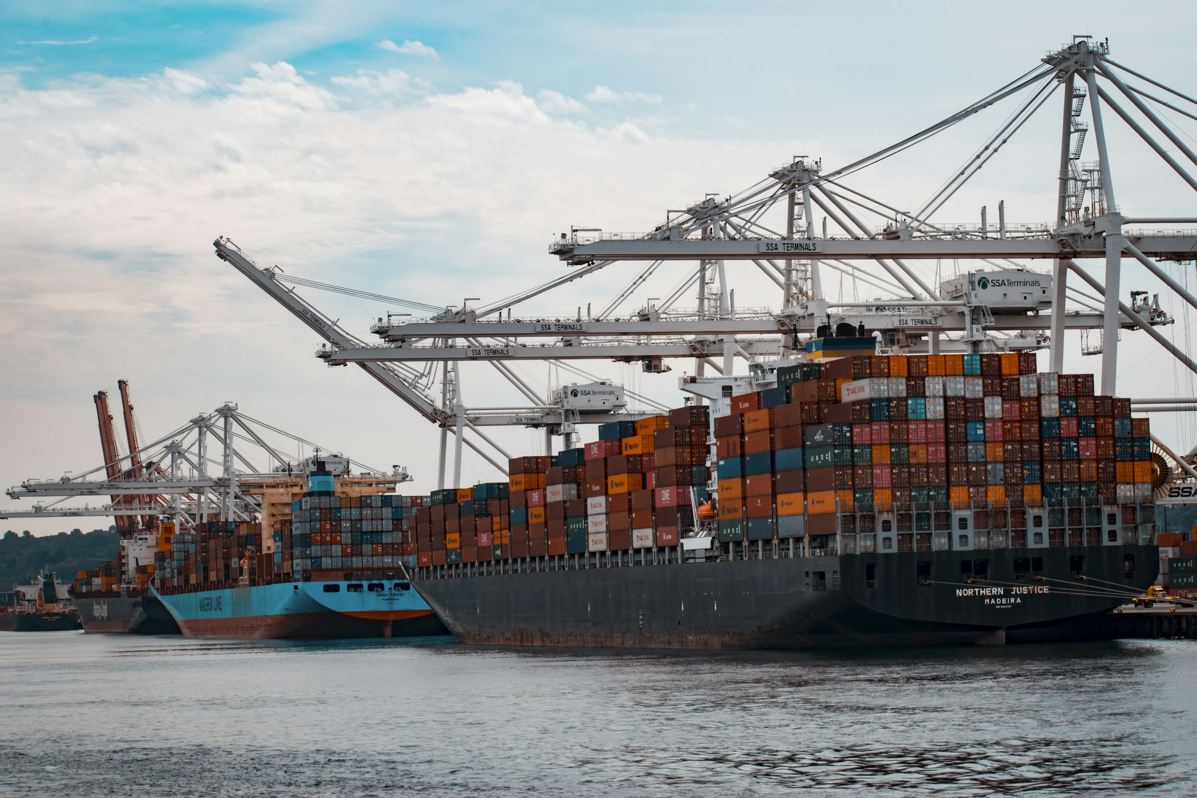Working seaport with cargo vessels, cranes and terminal infrastructure